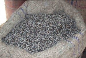 Black_Cotton_Seeds