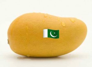 mango-pakistan