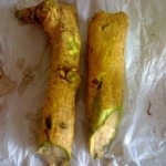 desiherbal.com-Oroxylum indicum. Broken bones plant, Indian calosanthes