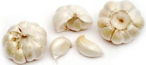 Benefits of garlicلہسن کے فائدے