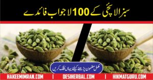 Benefits Of Cardamom In Urdu Elaichi Kay Faiday 2