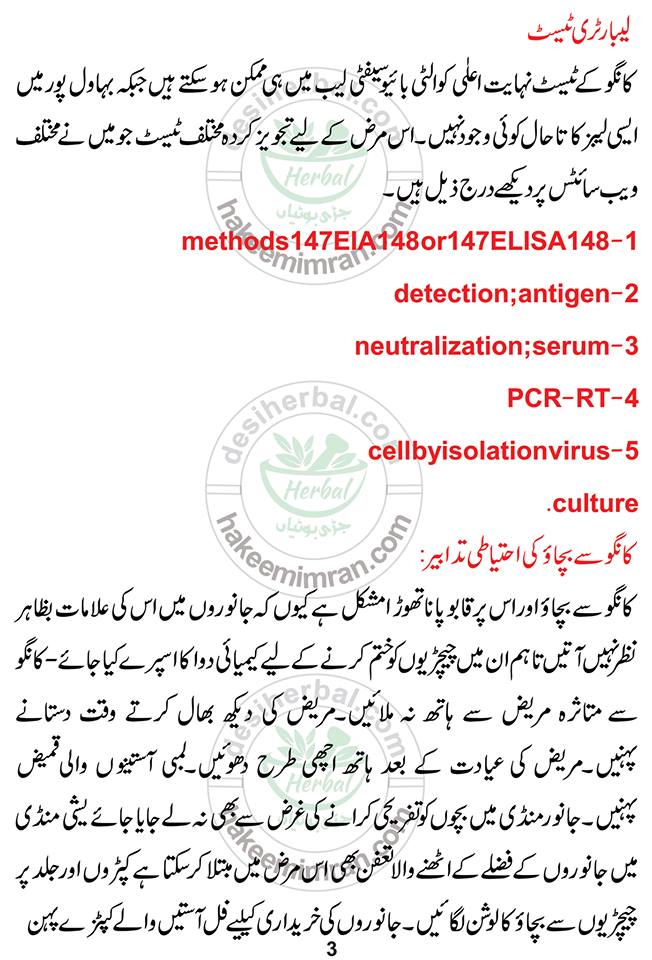 What is The Congo Virus and How Can it Affect You In Pakistan (4)