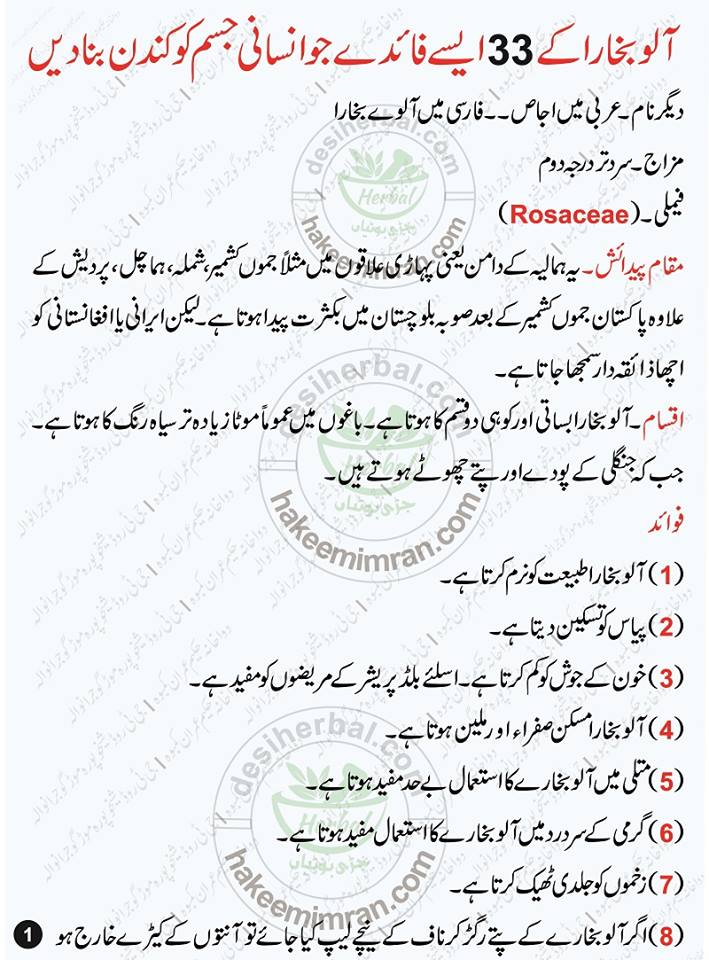 Aloo Bukhara Ke Fawaid (Plum Benefits in Urdu) Aloo Bukhara Benefits