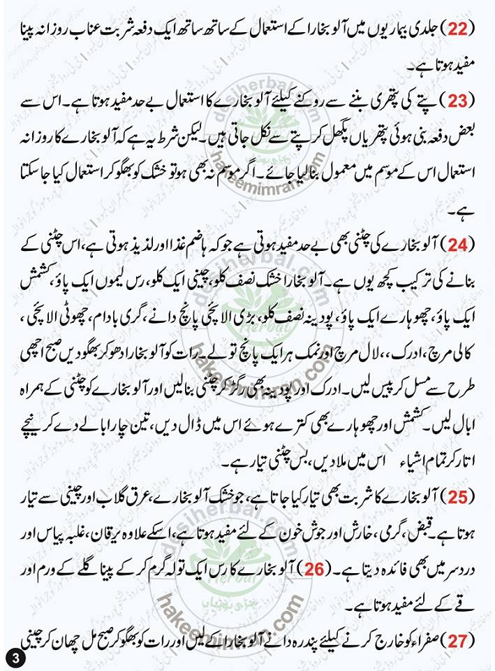 Aloo Bukhara Ke Fawaid (Plum Benefits in Urdu) Aloo Bukhara Benefits