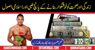 Best Ways To Live A Happy And Successful Life in Urdu