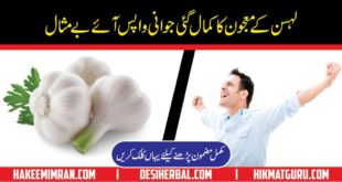 Does Garlic Increases Power Of Erection By Hakeem Imran Kamboh