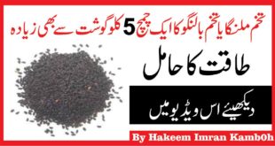 Tukhm e Balanga Benefits & Sharbat Recipe ,Chia Seeds Benefits in Urdu Hindi
